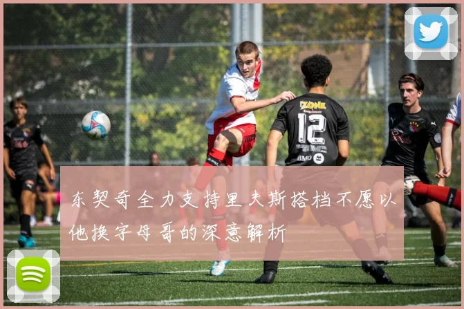 东契奇全力支持里夫斯搭档不愿以他换字母哥的深意解析